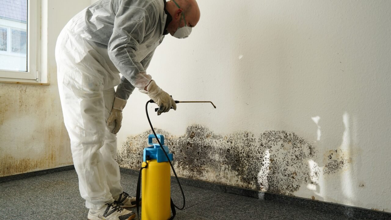 The Importance of 24/7 Mold Inspection for Miami Homeowners